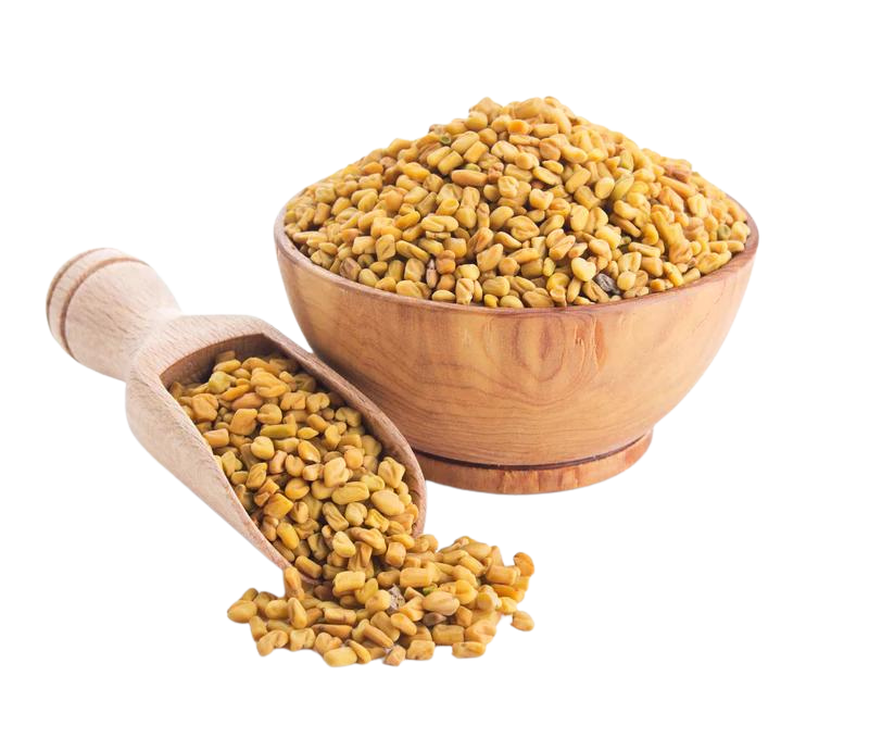 FENUGREEK SEEDS 55LB BULK