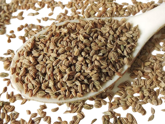 AJWAIN SEEDS BULK 55LB
