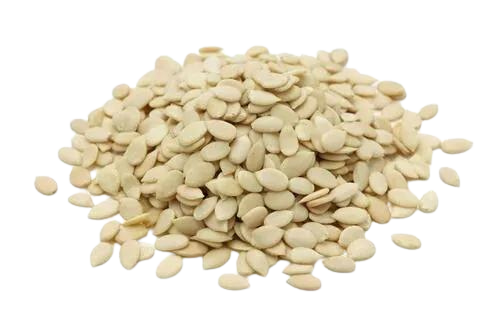 GAZAB CHAR MAGAZ 55LB BULK