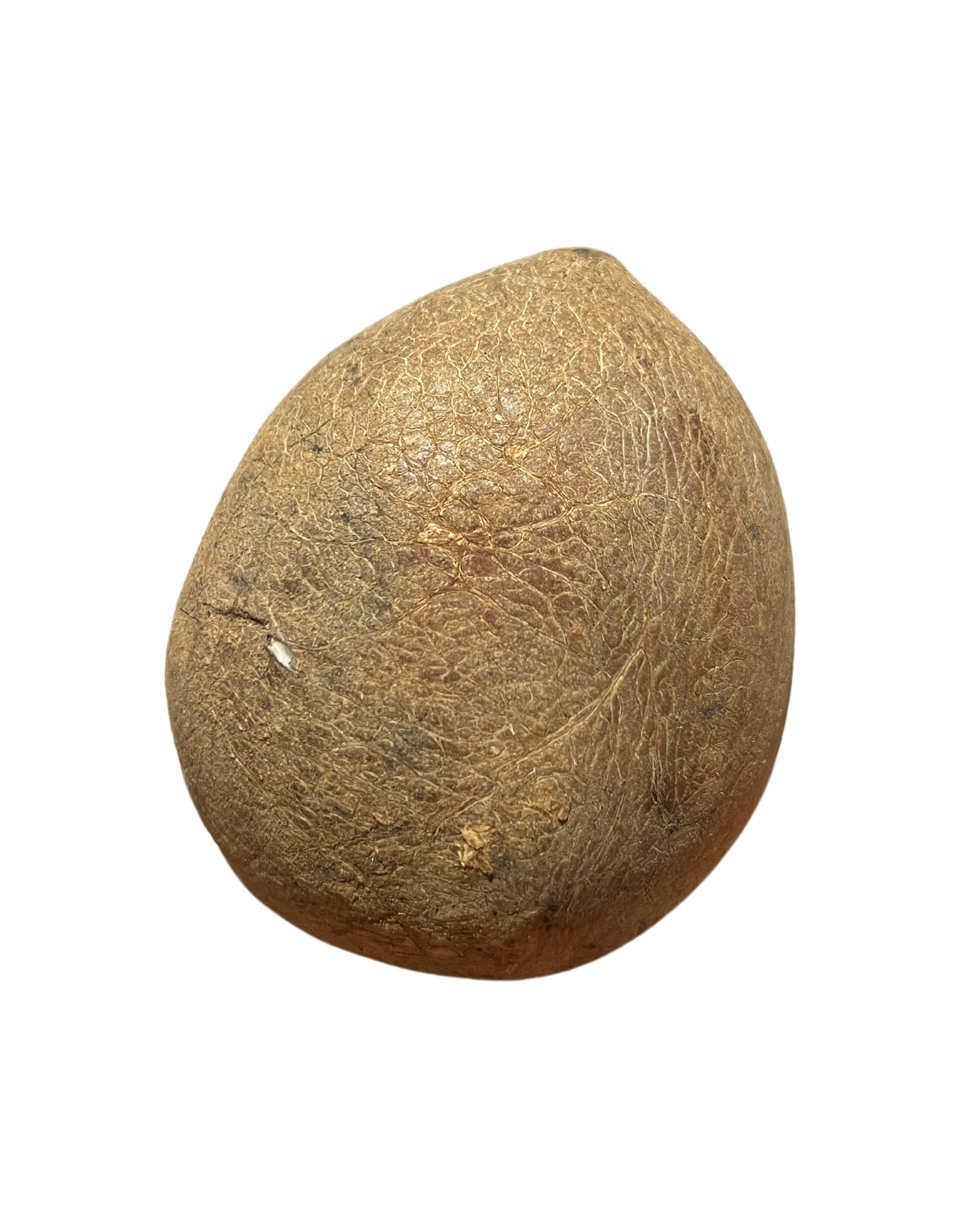 GAZAB COCONUT WHOLE