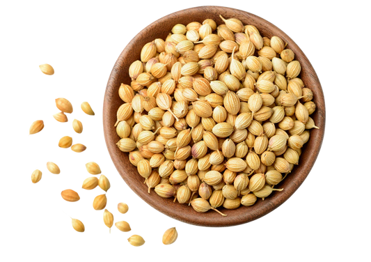 GAZAB CORIANDER WHOLE 55LB BULK