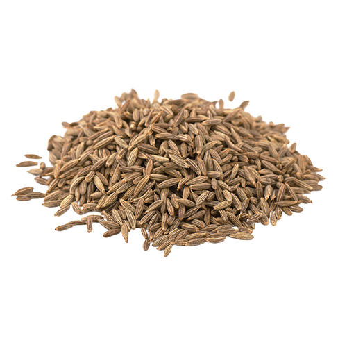 GAZAB CUMIN SEEDS 55LB BULK (GRADE A)