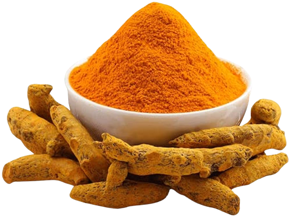 GAZAB TURMERIC POWDER 55LB BULK
