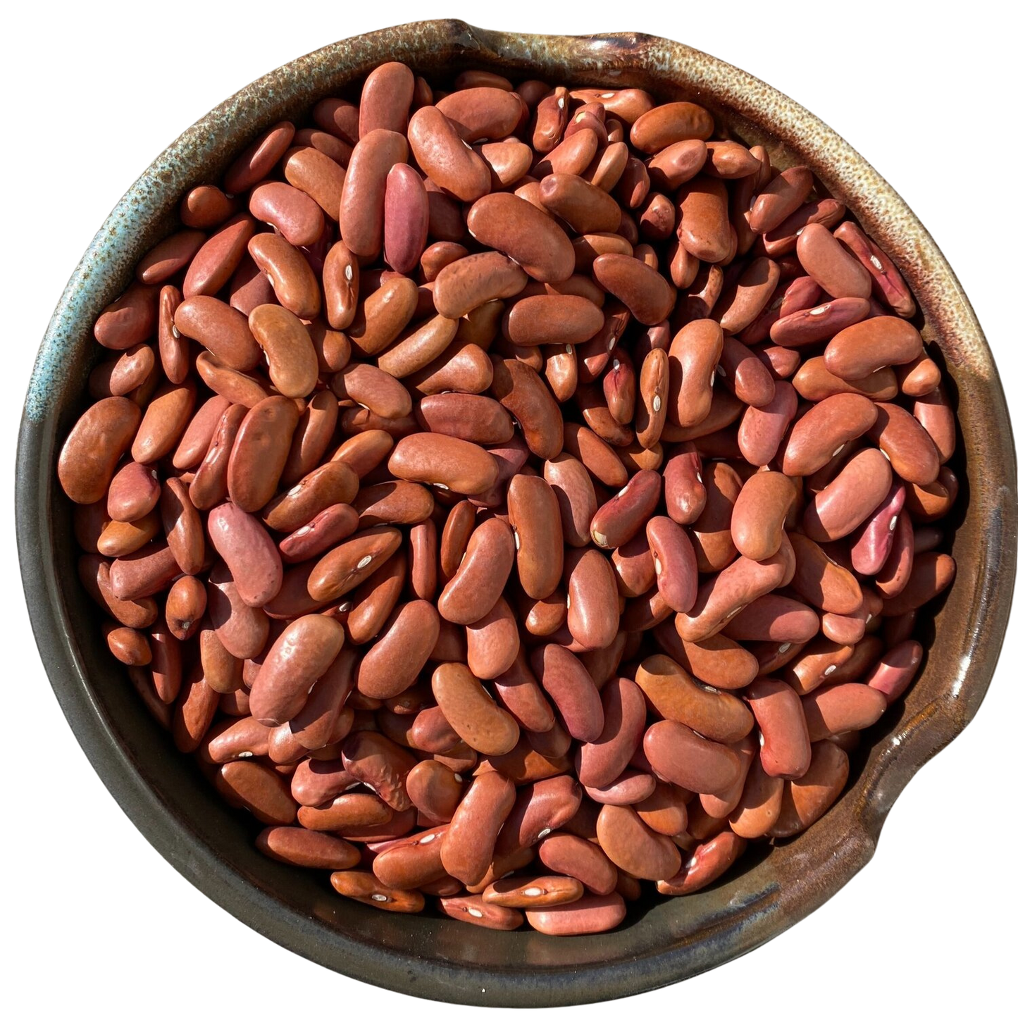 RED KIDNEY BEANS LIGHT 50LB BULK