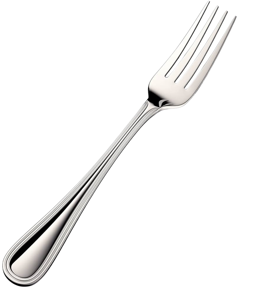 STEEL FORK 12PCS